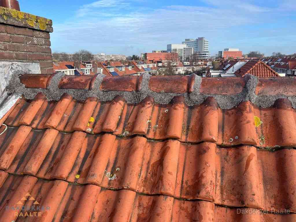 Raalte Daken Renoveren Raalte Daken Renoveren